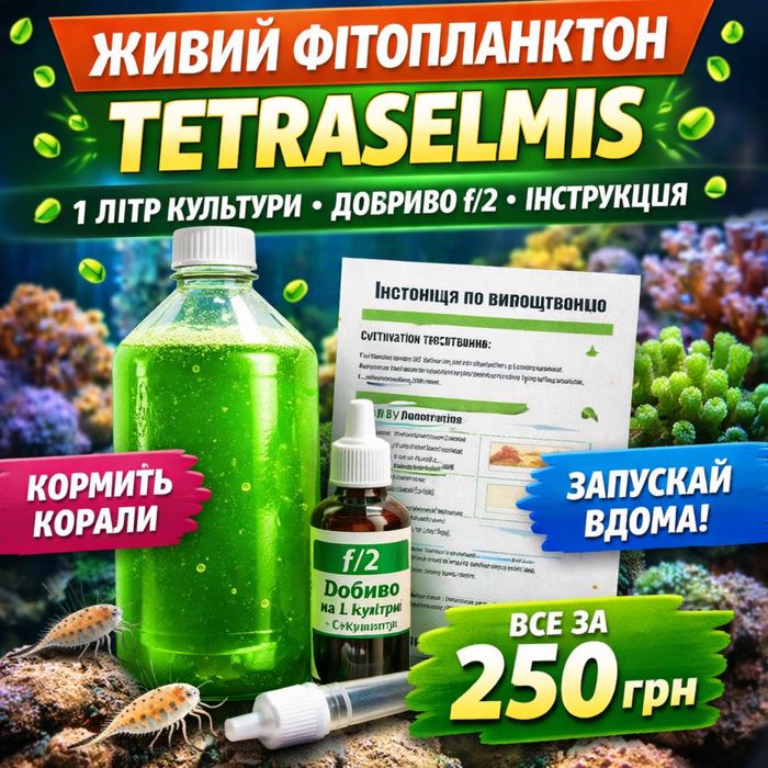 Живий фітопланктон Tetraselmis 1л + добрива F2 + інструкція