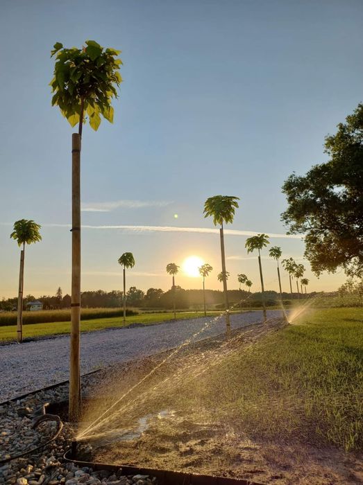 Trawnik zakładanie. pielęgnacja,glebogryzarka separaracyjna