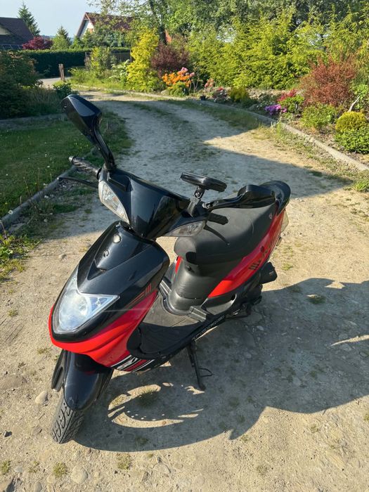 Skuter Torq Vivo 50 2019