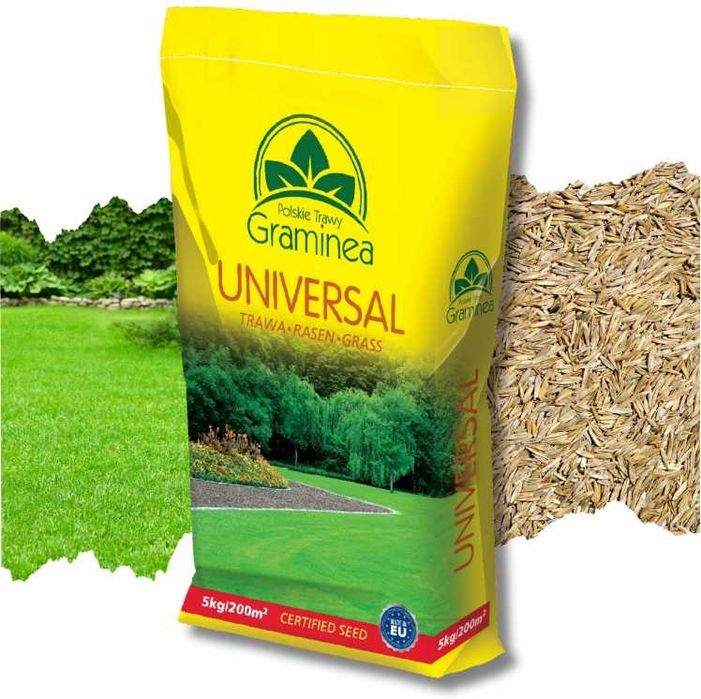 Trawa Lucerna Kupkówka Tymotka Rajgras Trawy Ziarno Życica Kostrzewa