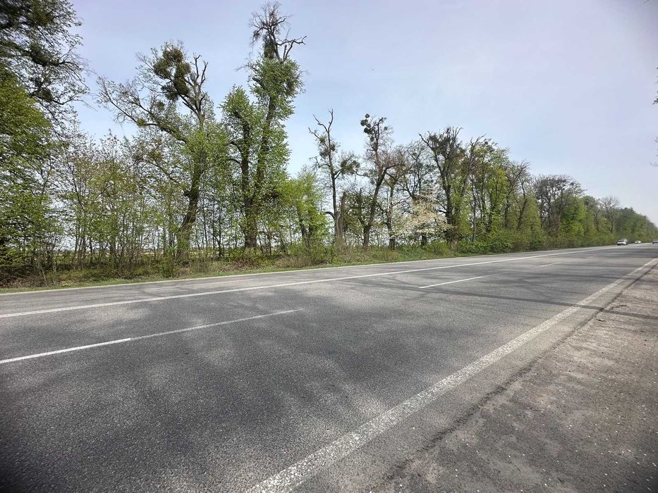 Продам фасадну ділянку в Ксаверівці