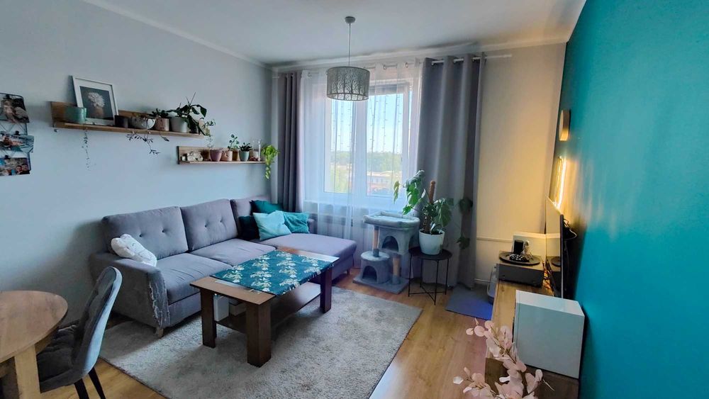 3-pokojowe mieszkanie 58 m² | Centrum Bytomia | bez pośredników