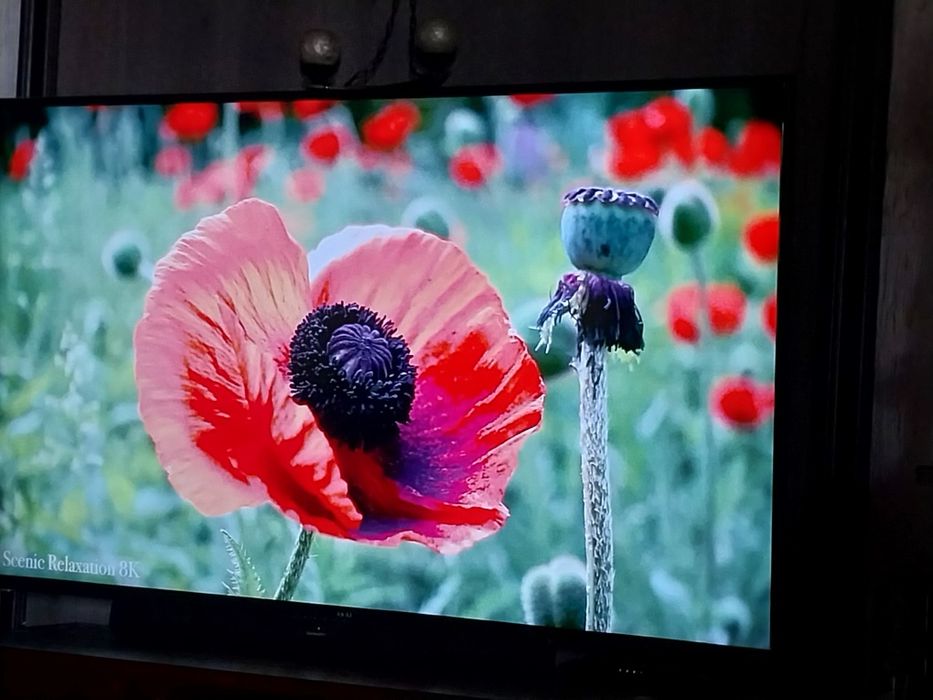 Большой телевизор AKAI UA65UHD22T2S