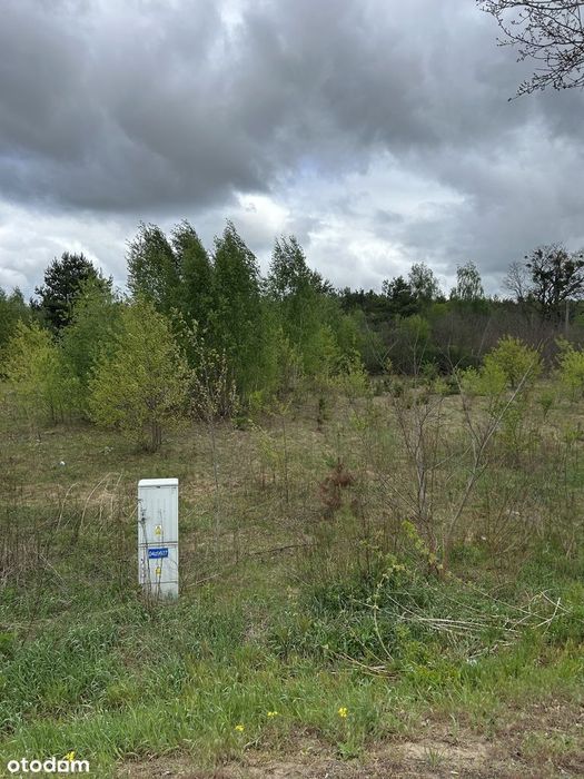 Działka budowlana 1160 m² z dostępem do mediów