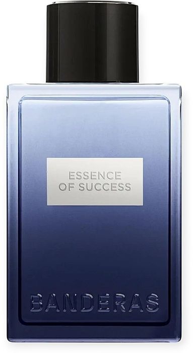 Banderas Essence Of Success новинка!