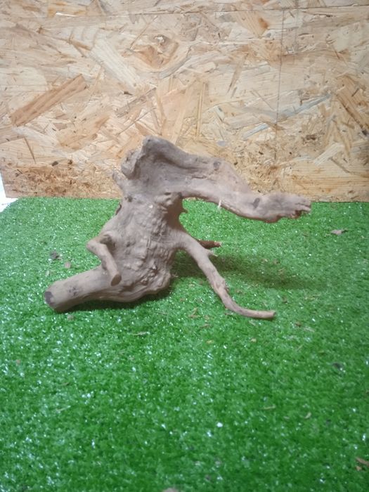 Korzeń do akwarium Red Moore Wood nr 492 o wymiarach 19/15/17