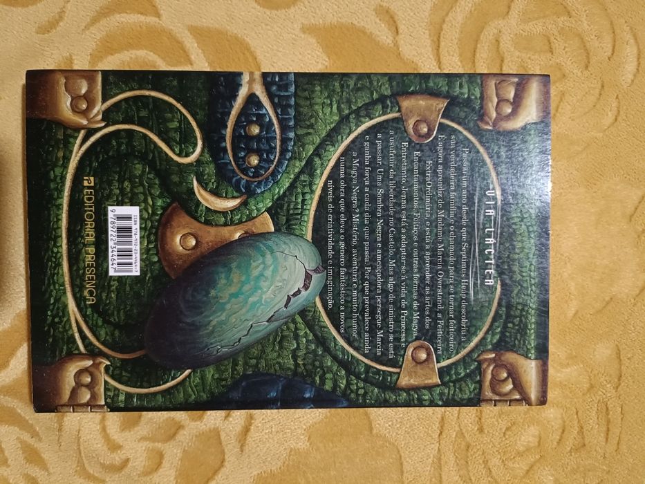 Livro "Voo" de Angie Sage