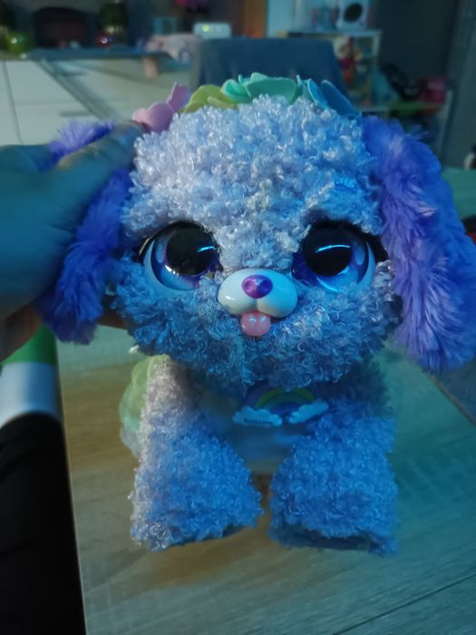 Present Pets tęczowa wróżka