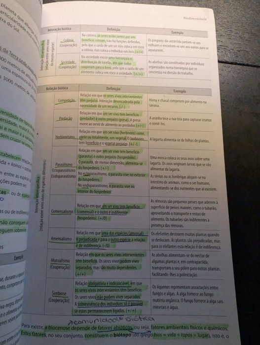 Livros de actividades e resumos - 11º ano