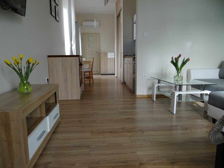 Pokoje z aneksami kuchennymi  - CENTRUM USTRONIA