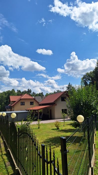 Domek Lesiówka do wynajęcia