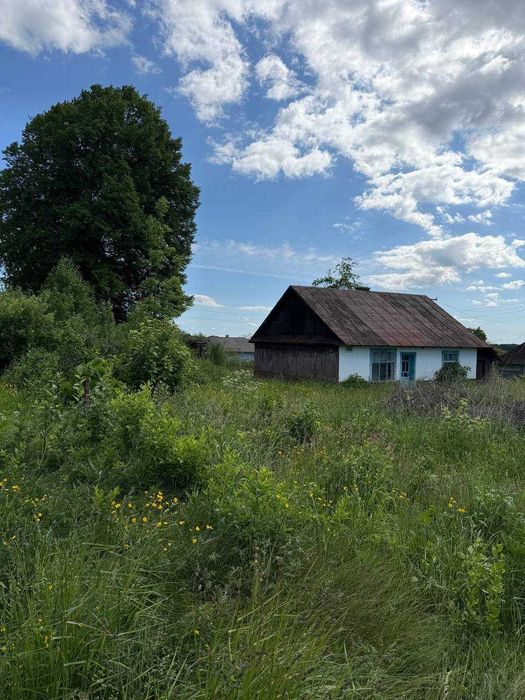 Продаж дерев'яного будинку