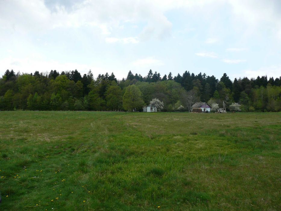 Продам земельну ділянку 0,52 га з будиночком в лісному масиві з дорогою