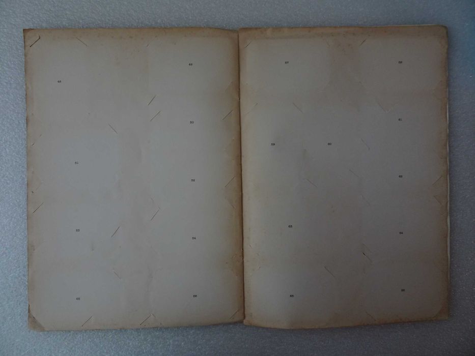 Caderneta calendários Tartaruga Ninja Teenage Mutant Ninja Turtles