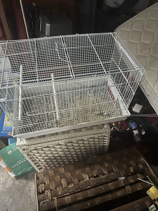 Gaiola grande tenho 2 o preco e das 2