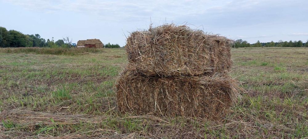 Сіно в тюках, різнотрав'я, лугове сіно
