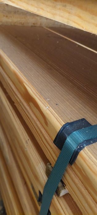 Tábua Pinho Aparelhado Boleado