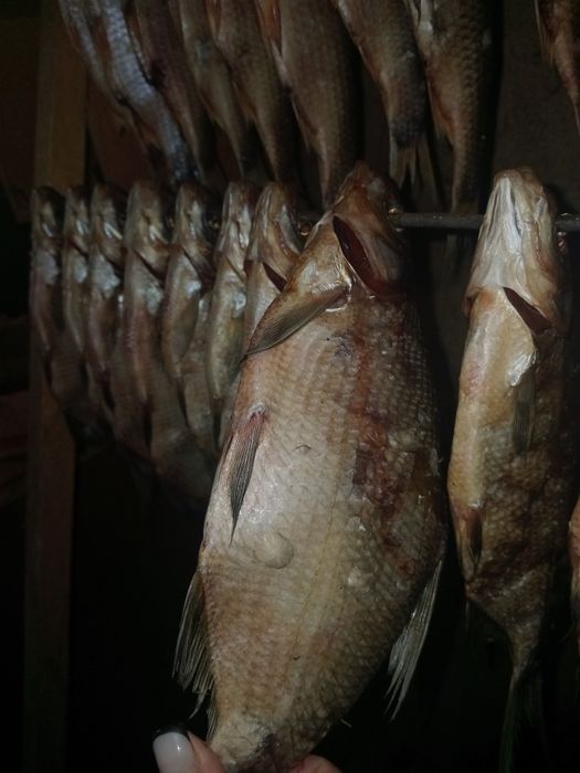 Тарань з плотви, рябця, под.ляща