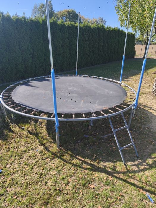 Trampolina Neosport z drabinką.