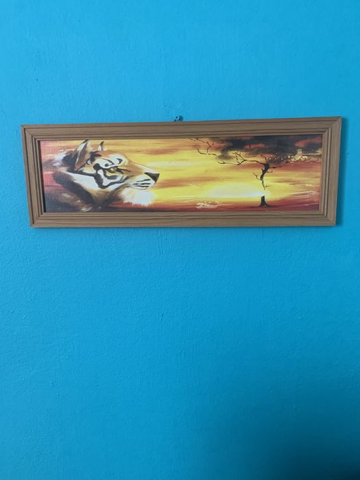 Tygrys obraz w drewnianej ramce