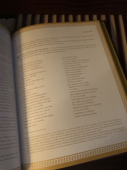 Biblia Sagrada ilustrada