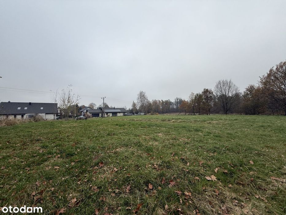 Działka budowlana 5012 m² - MPZP, spokojna okolica, udziały w drodze - Widok 2