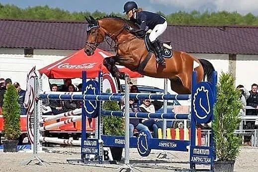 Stanówka Ogierem Dilmar