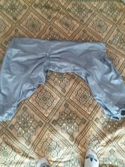 .Одежда. Дождевик на большую собаку и  собачку.маленькой породы