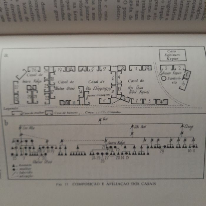 Sistemas Políticos Africanos de Parentesmo e Família.