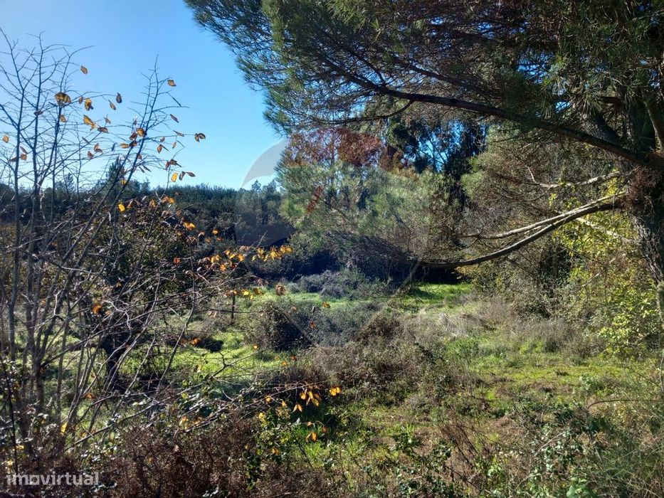 Terreno  para venda — Gavião E Atalaia, Portalegre