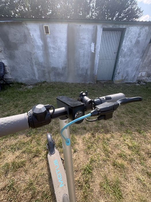 Hulajnoga elektryczna Motus scooty 10 lite