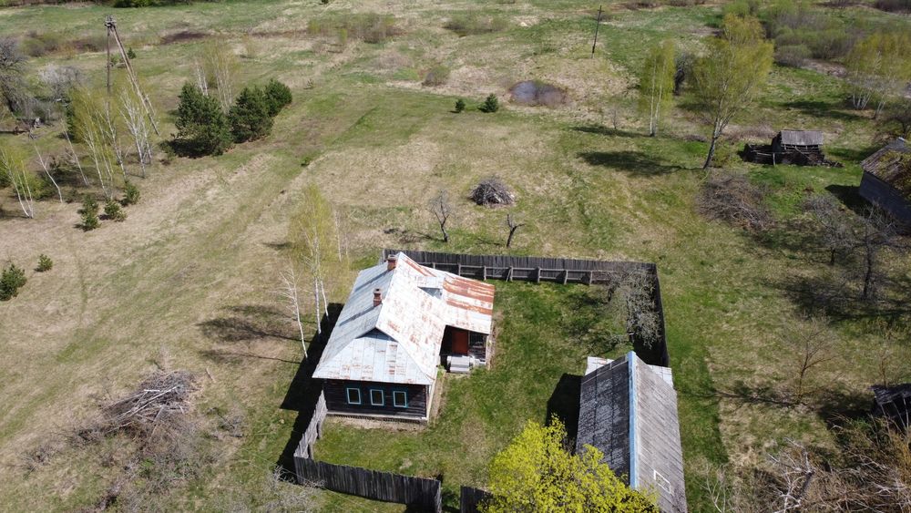 Будинок на хуторі, хвойний ліс, мальовниче місце.