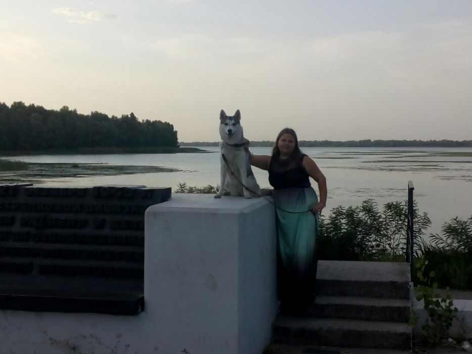 Зооотель/Зоогостиница/Гостиница для собак/передержка/зоосадик/няня