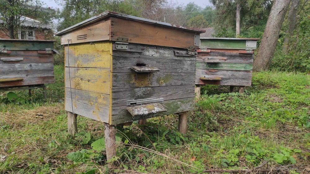 Вулики для бджіл