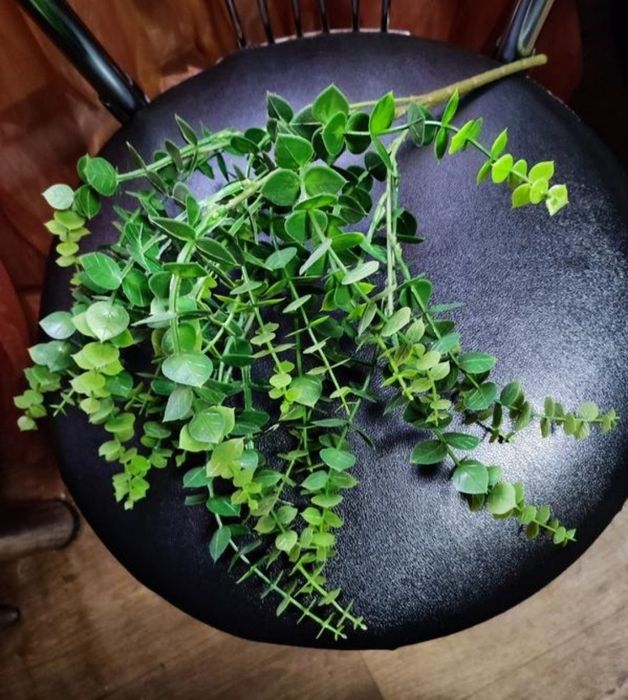 Искусственная штучна зелень цветок