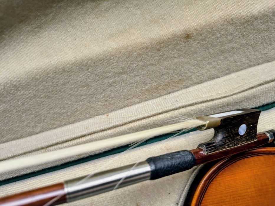 Violino Palatino 4/4