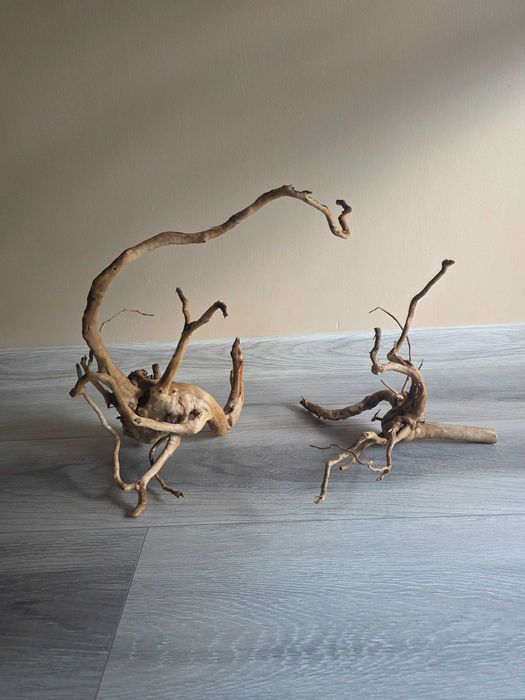Korzeń do akfarium