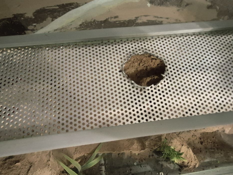 Terrarium 80x40x50