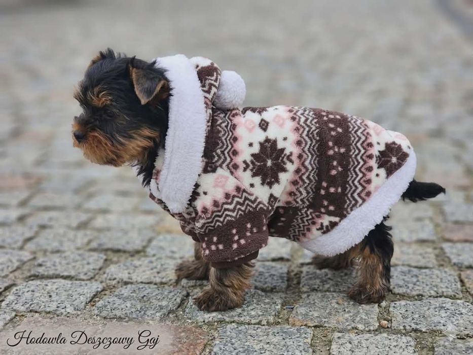 Uwaga słodycz przekracza normy !!!