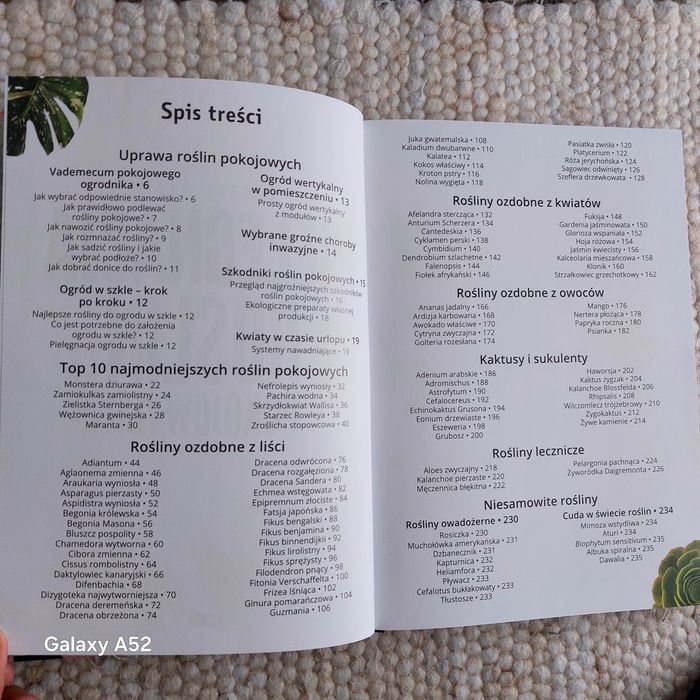 Pielęgnacja  roślin pokojowych.