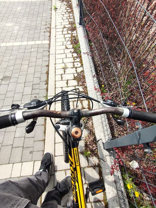 Kross hexagon x1