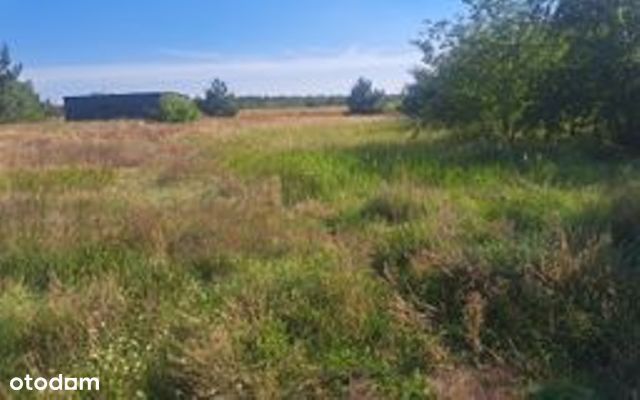 Ładne działki budowlane/media przy działce/aktualne WZ - Widok 4