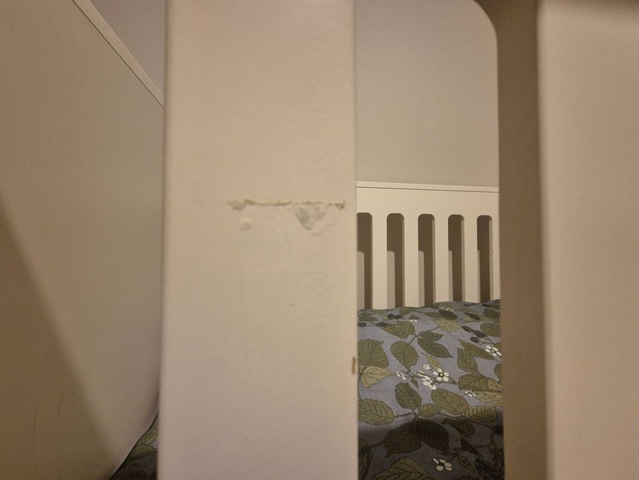 Lozeczko Bellamy Ines