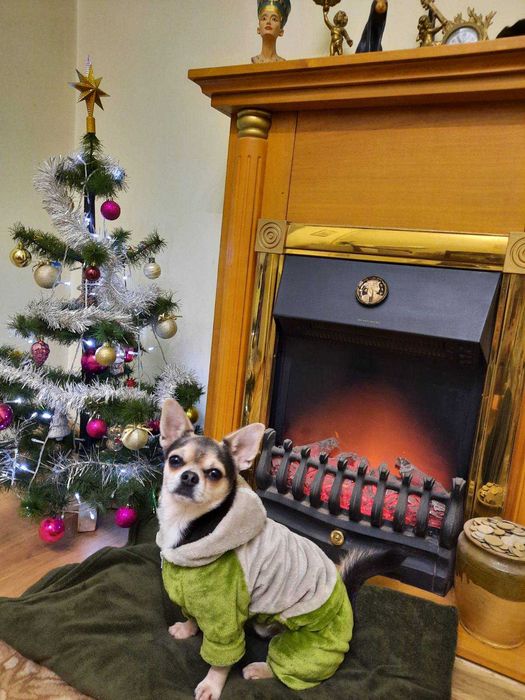 Електричний камін з порталом