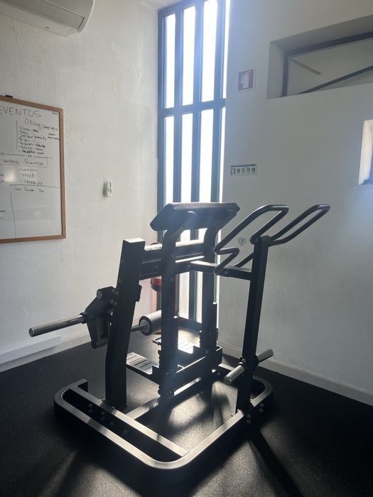 Standing Leg Curl ELLIPSE