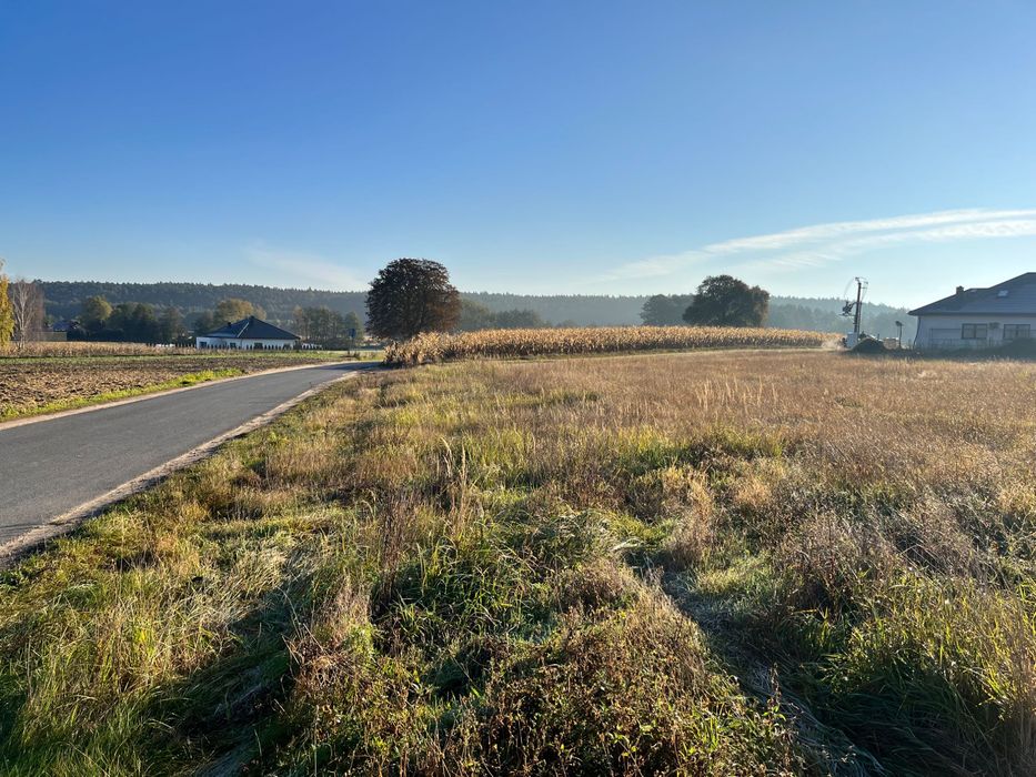 Działka na sprzedaż 1500m