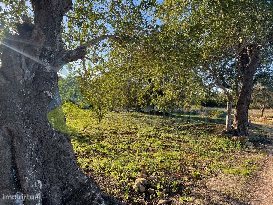 Terreno Rústico 2.900 M2 Zona Tranquila Localizado Entre Paderne E ... — Paderne, Faro