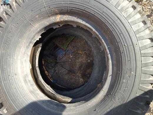 Продам скаты 7.12