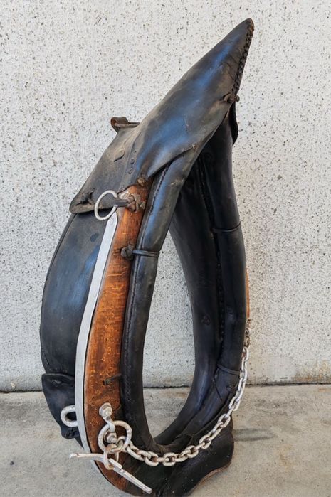 Antigo Jugo/ canga cavalos