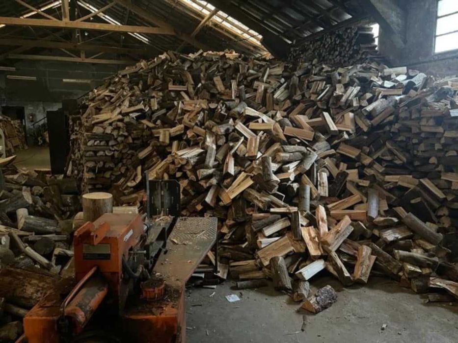 Vários tipos de lenha seca